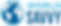 world savvy logo.png
